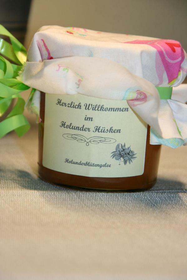 Holunder Huesken Villa Oberlangen ภายนอก รูปภาพ
